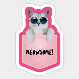 Meowsome Pocket Kitty Sticker